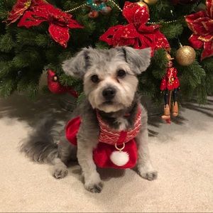 Meet your Posher, Liudmila